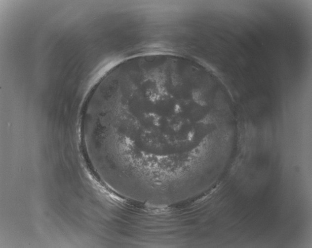 X0000078021415200610271222