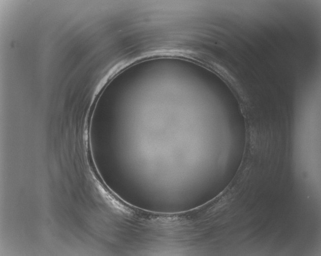 X0000078021428200610271222