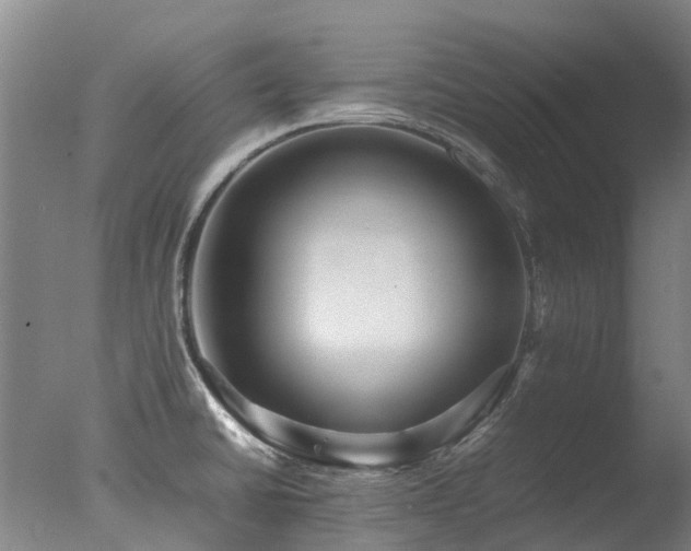 X0000078021430200610271222