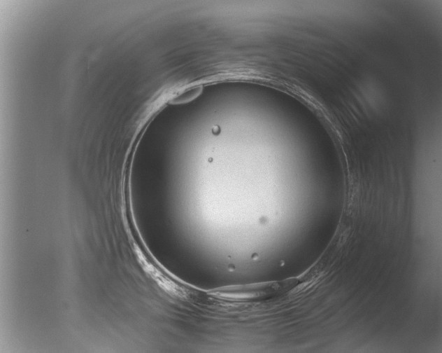 X0000078021439200610271222