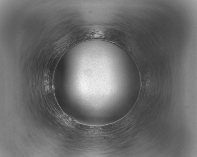 X0000078021442200610271221