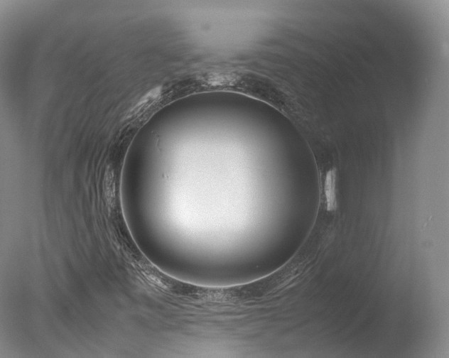 X0000078021443200610271221