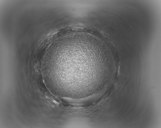 X0000078021445200610271221
