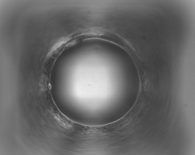 X0000078021448200610271221