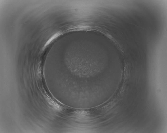 X0000078021450200610271221