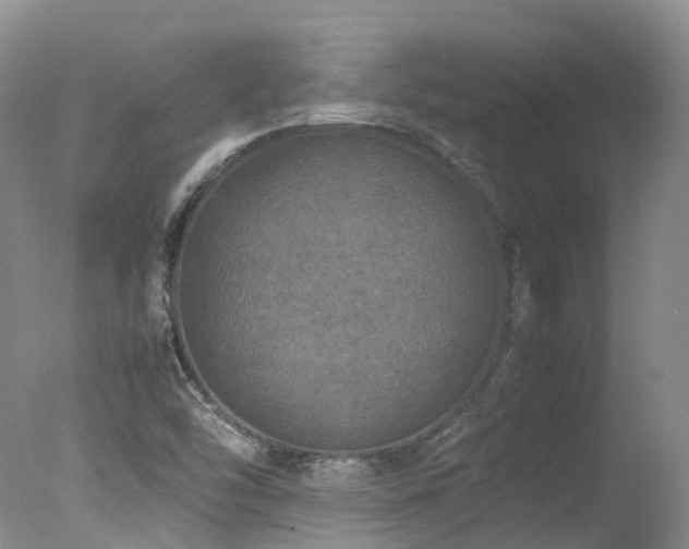X0000078021454200610271221
