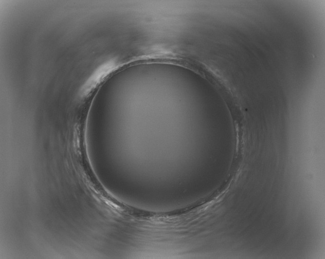 X0000078021455200610271221