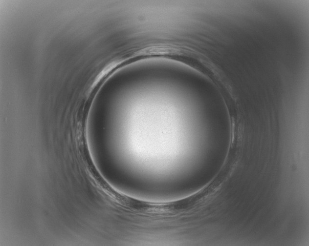 X0000078021465200610271221