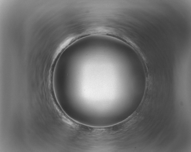 X0000078021477200610271221