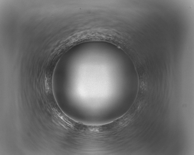 X0000078021490200610271220