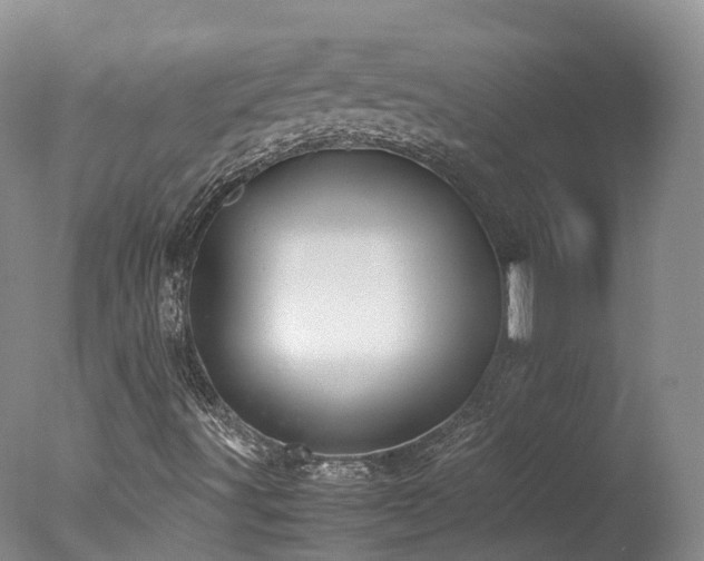X0000078021491200610271220