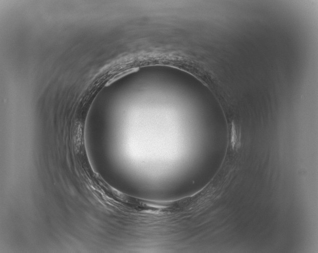 X0000078021492200610271220