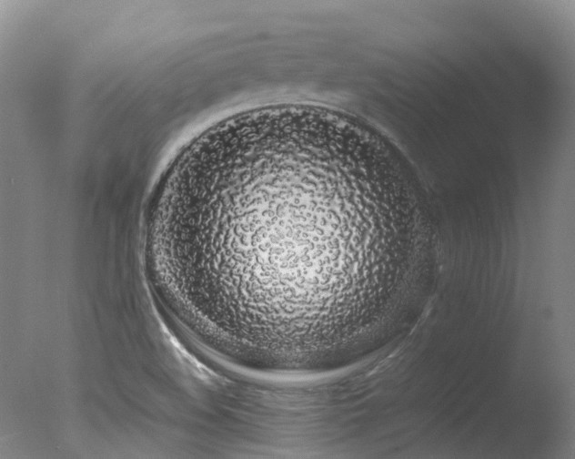 X0000078021508200610271220