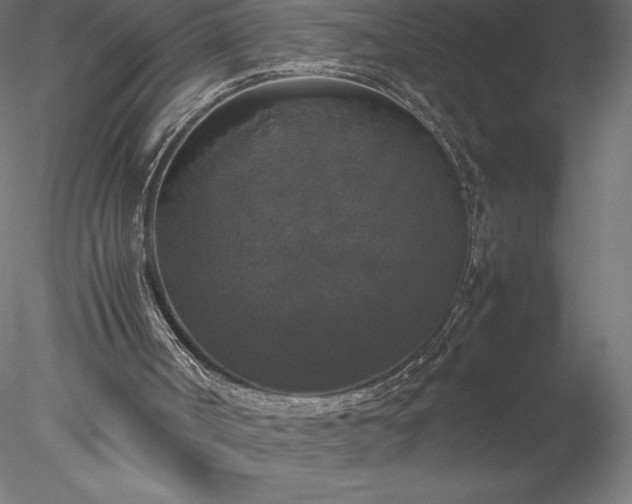 X0000078020002200611031508