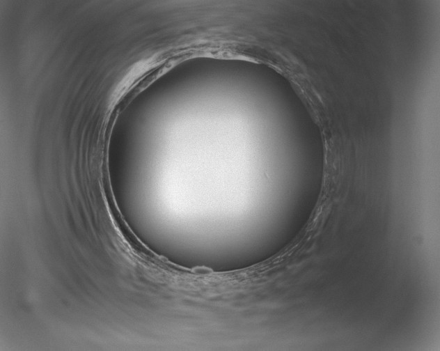 X0000078020003200611031508