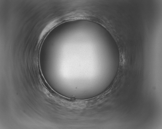 X0000078020004200611031508