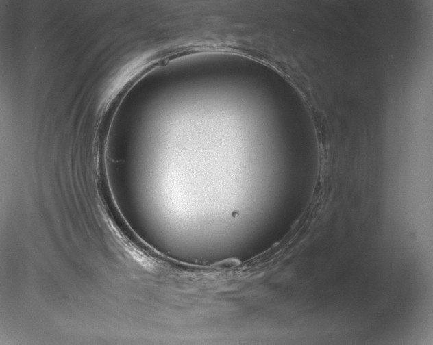 X0000078020005200611031508