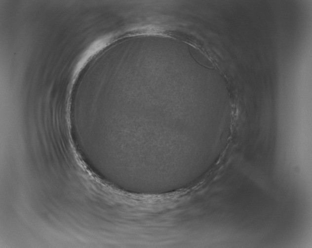 X0000078020006200611031508