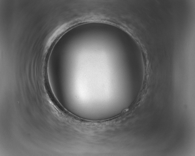 X0000078020007200611031508