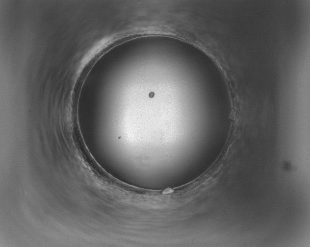 X0000078020008200611031508