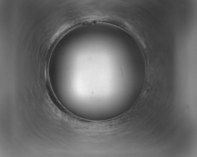 X0000078020011200611031508