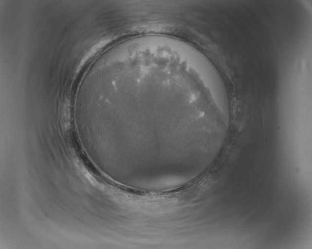 X0000078020012200611031508