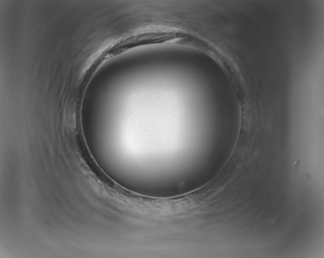 X0000078020015200611031508