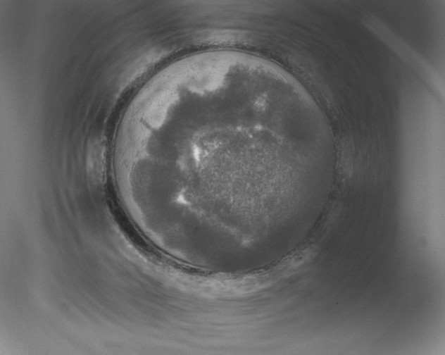 X0000078020016200611031508