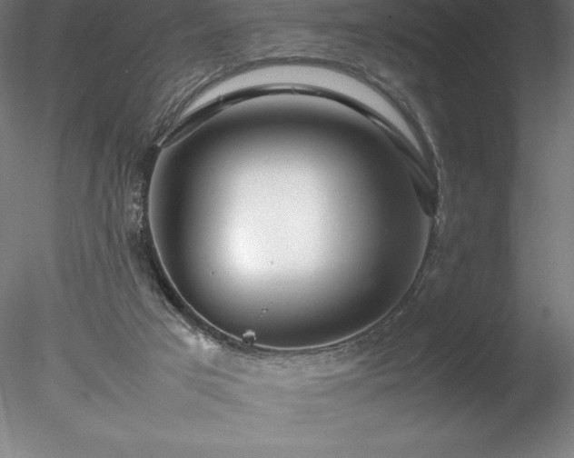 X0000078020017200611031508