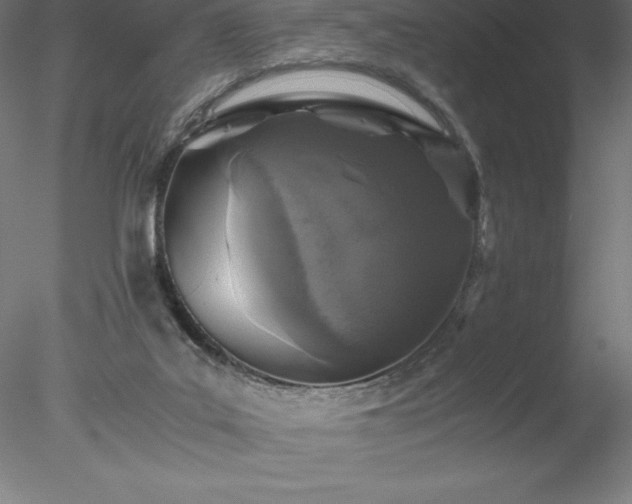 X0000078020019200611031508