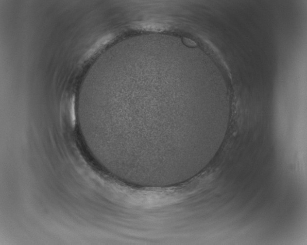 X0000078020020200611031508