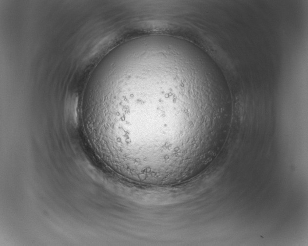 X0000078020024200611031508