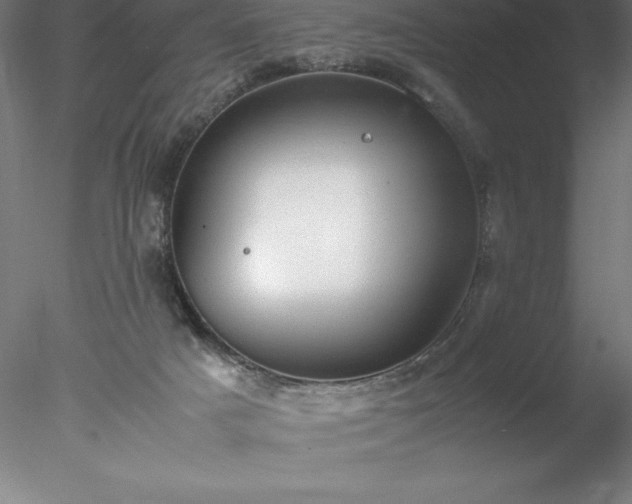 X0000078020025200611031508