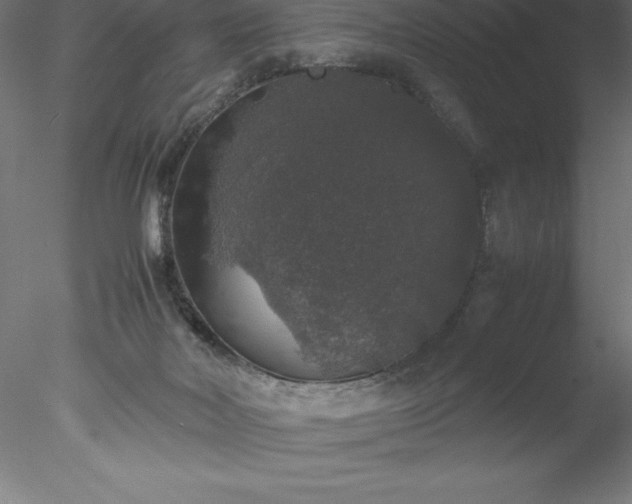 X0000078020026200611031507