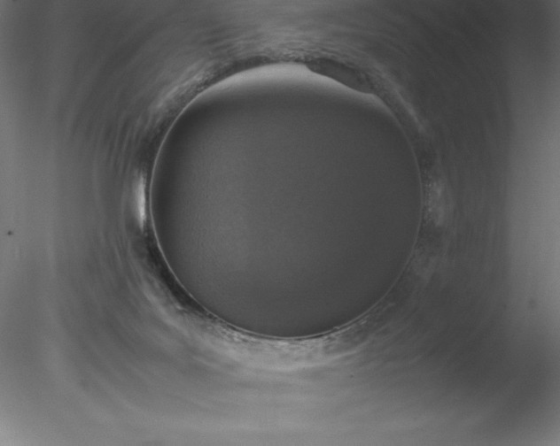 X0000078020027200611031507