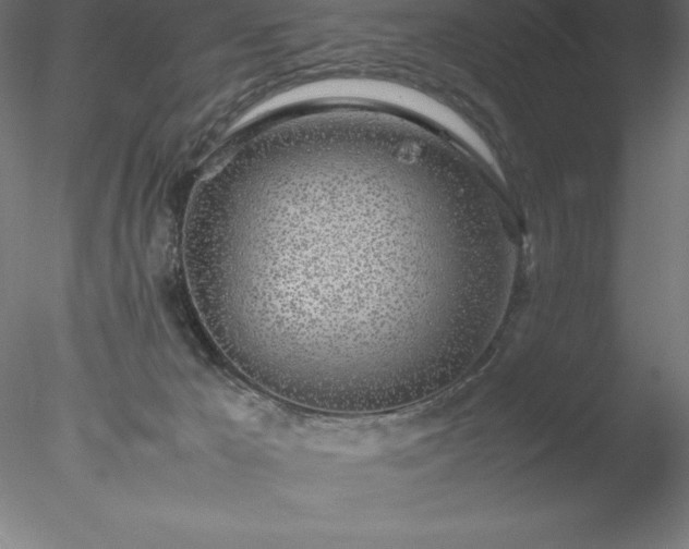 X0000078020029200611031507