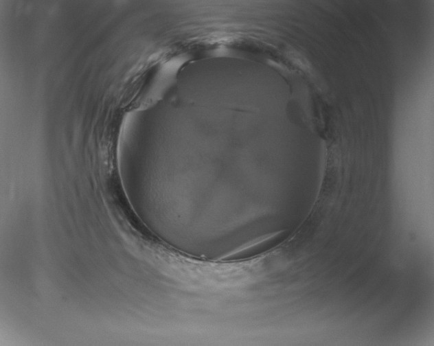 X0000078020031200611031507