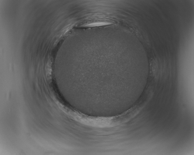 X0000078020032200611031507