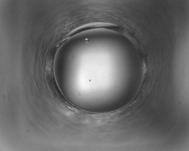 X0000078020033200611031507