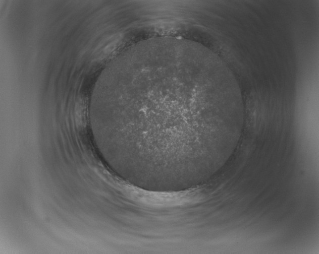 X0000078020034200611031507