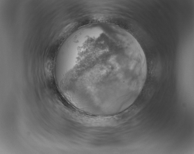 X0000078020036200611031507