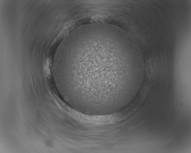 X0000078020038200611031507