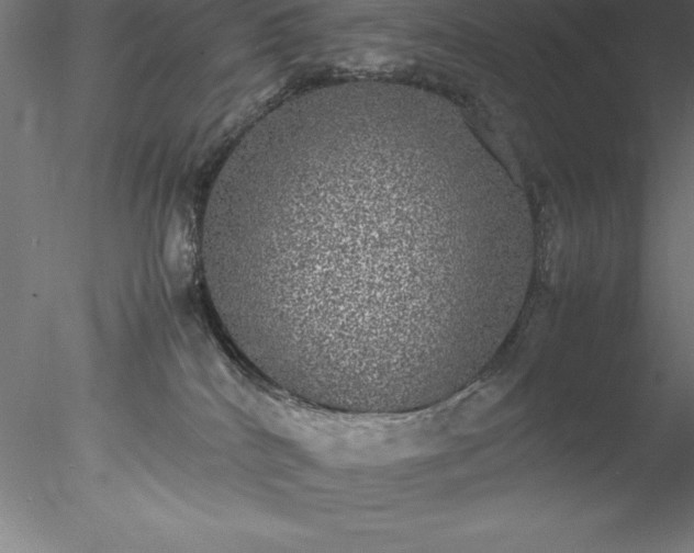 X0000078020040200611031507