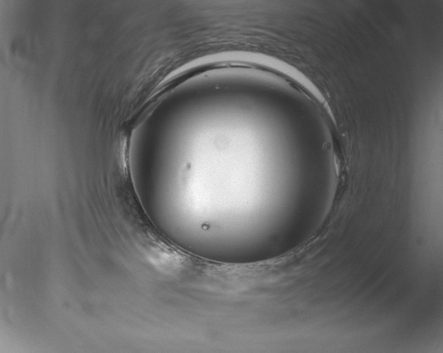 X0000078020041200611031507