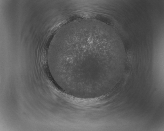 X0000078020043200611031507