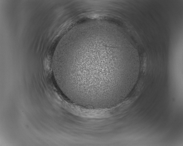 X0000078020044200611031507