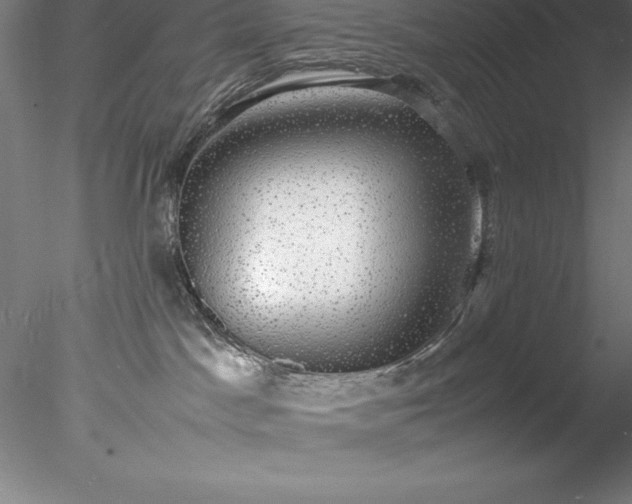 X0000078020045200611031507