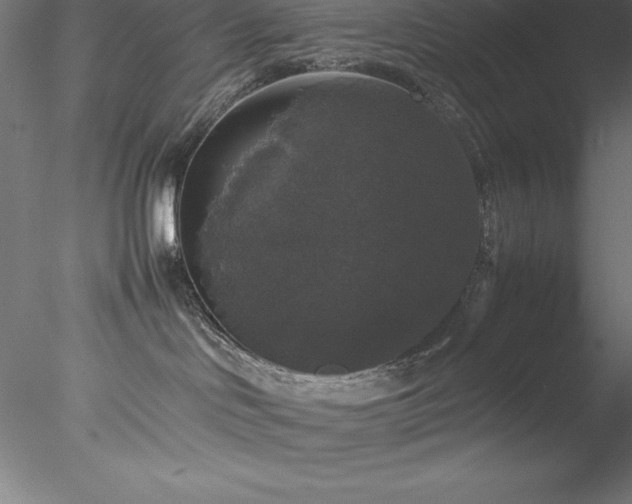 X0000078020046200611031507