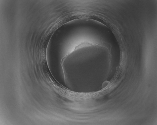 X0000078020048200611031507