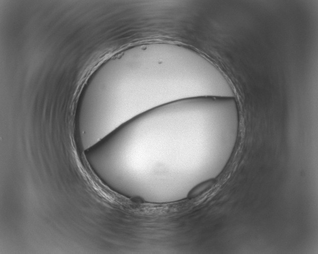 X0000078020049200611031506